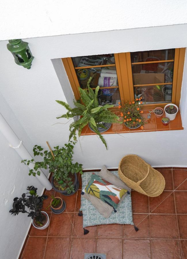 Casa Tipica Y Terraza, Maison Andalouse, Typical House With Rooftop Almunecar Exterior photo